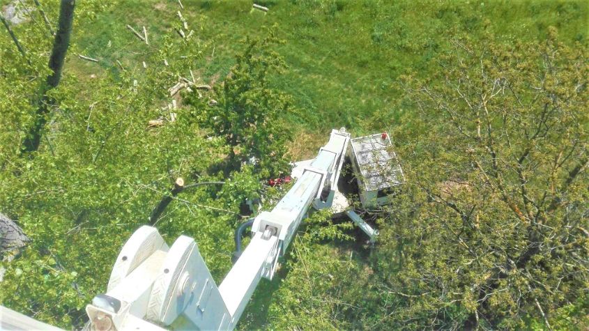 fakivágás daruval Vászoly, fakivagas daruval vaszoly